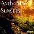 Andy Mac