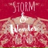 Storm & Wonder