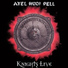 Axel Rudi Pell