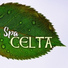 Musica Celta All Stars