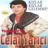 Celâl Yarıcı