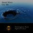 Smart Wave