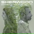 Eziogroove feat. Elisa Venturin