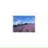 Mindfulness Healing BGM Project