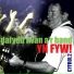 Dafydd Iwan Band