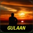 Sayed Gulyar