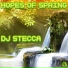 Dj Stecca