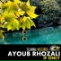 Ayoub Rhozali