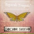 Doctor Steevo