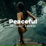 Beach House Chillout Music Academy