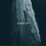 iambear