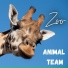 Animal Team