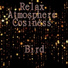 Relax Atmosphere Cosiness