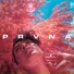 PRVNA