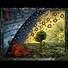 Celestial Ceiling