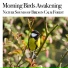 Nature Sound Meditation