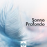 Massage Therapy Music & Deep Sleep
