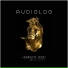 Audiolog