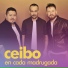 Ceibo