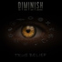 DIMINISH