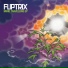 Fliptrix