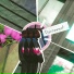 Laxcity