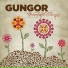 The Michael Gungor Band