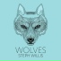 Steph Willis
