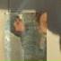 NILS