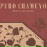 Puro Chamuyo feat. Pepe Guerra