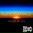 Audiodamage