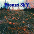 Bronze SkY