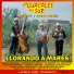 Los Guacales del Sur