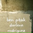 Ben Ptak