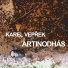 Karel Vepřek