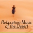 Arabic Music Arabian Nights Collective