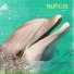 Palmiyeler