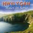 Tecwyn Ifan