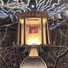 Imperial Domain