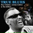 James Cotton Blues Band