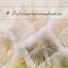 Buddhistische Meditationszone