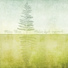 Milan Urza