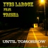 Yves Larock Feat.Trisha