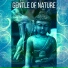 Meditation Mantras Guru