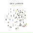 Sky Larkin