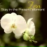 Asian Meditation Music Collective