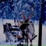 Christmas Music All-stars