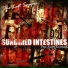 Sundried Intestines