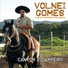 Volnei Gomes feat. João Luiz Corrêa