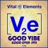 Vital Elements feat. Jennie Matthais